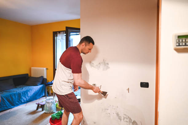 Best Home Mold Removal  in Edneyville, NC